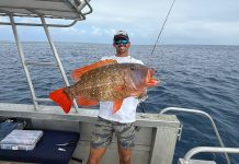 Rising from the Waters: Sebastian Noel